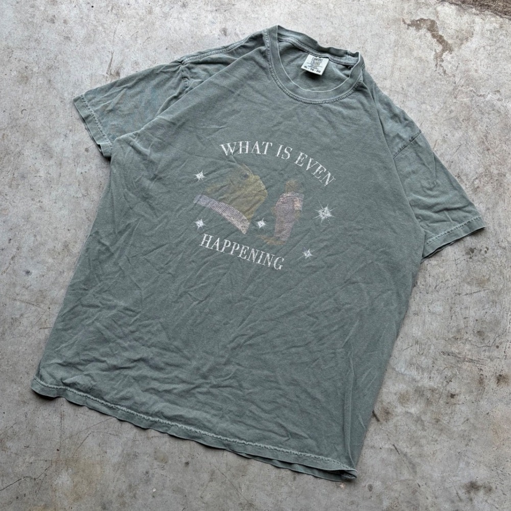 Comfort Colors What Is Even Happening Graphic T-Shirt XL Sage Green Heavyweight